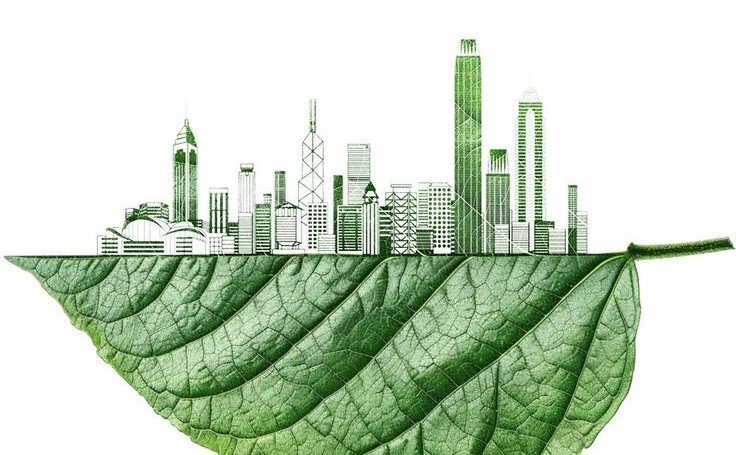 Go Green Club